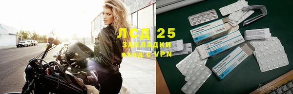 сатива Алзамай