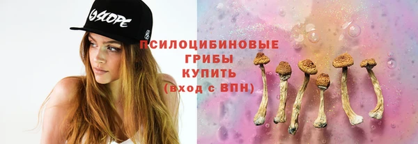 сатива Алзамай