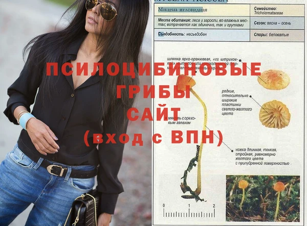 сатива Алзамай