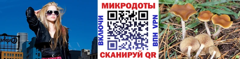Псилоцибиновые грибы ЛСД  kraken вход  Сунжа  где купить наркотик 