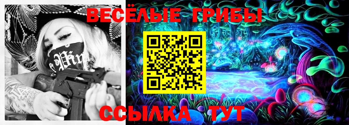 Галлюциногенные грибы MAGIC MUSHROOMS  Галлюциногенные грибы Cubensis  хочу   Сунжа  Вход с VPN 
