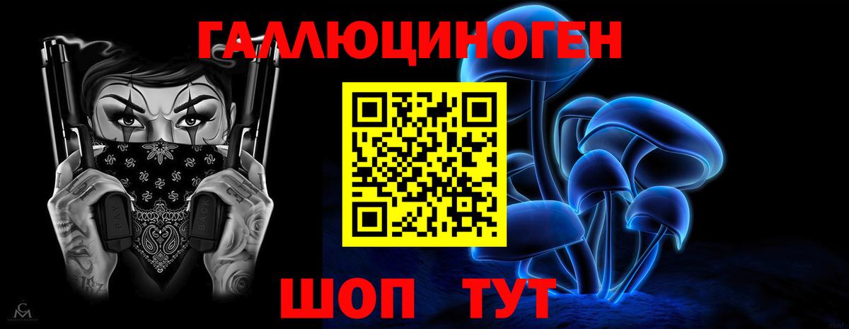 Галлюциногенные грибы Cubensis Сунжа